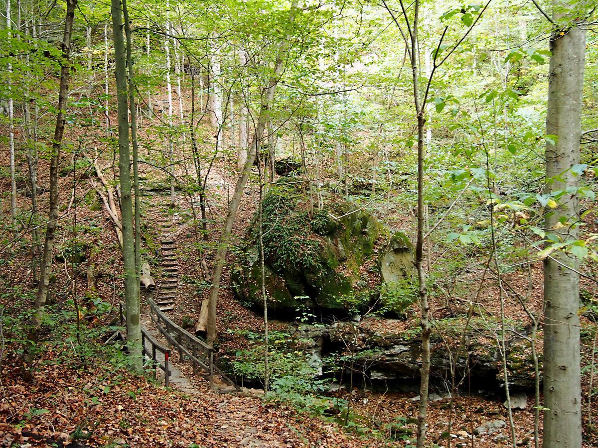 Carter Caves State Resort Park Olive Hill المظهر الخارجي الصورة